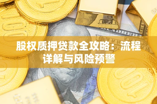 北京股权质押贷款全攻略：流程详解与风险预警