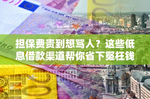北京担保费贵到想骂人？这些低息借款渠道帮你省下冤枉钱